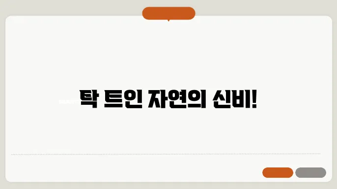 테이블산자리 남반구의 평원