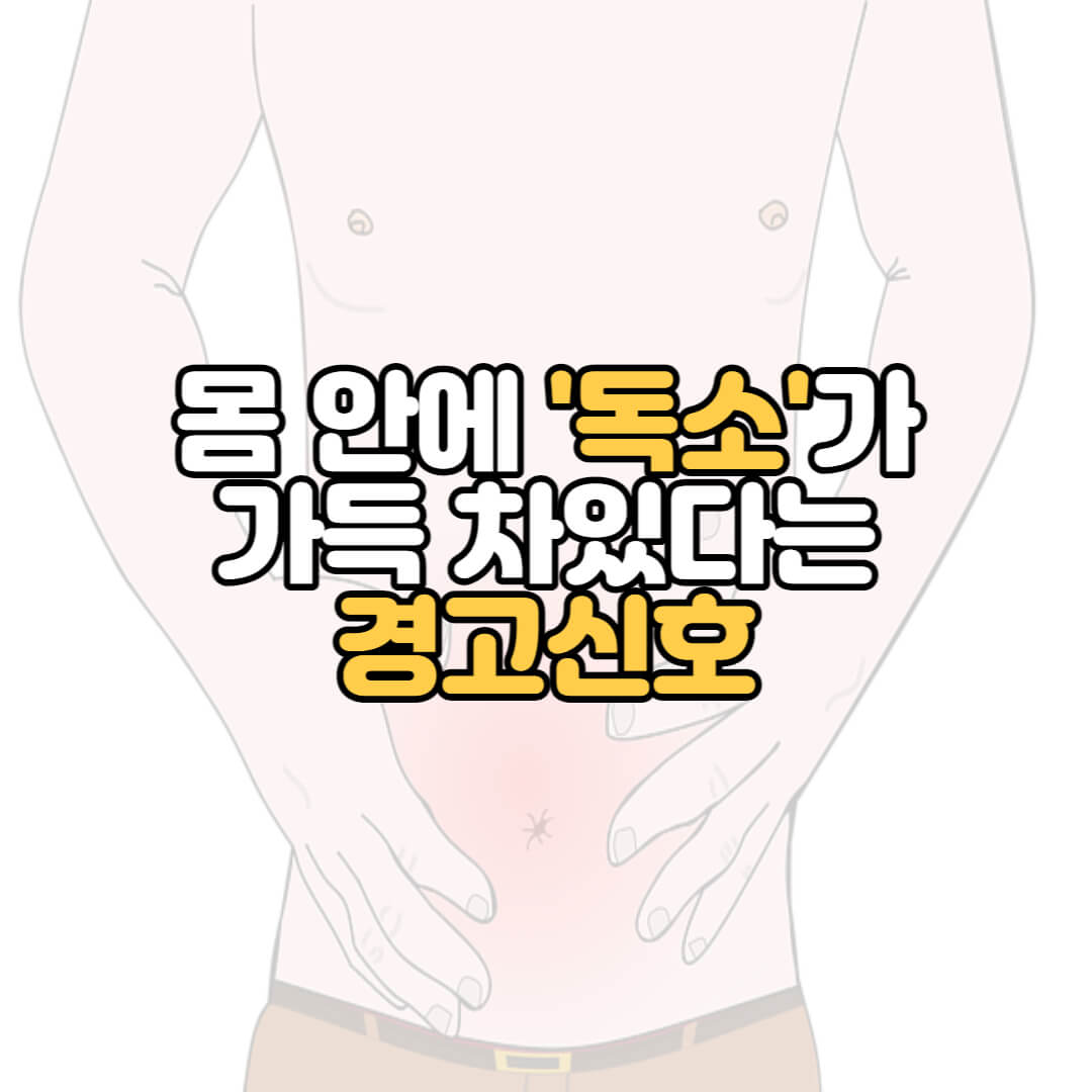 노폐물 배출에 좋은 음식 16가지