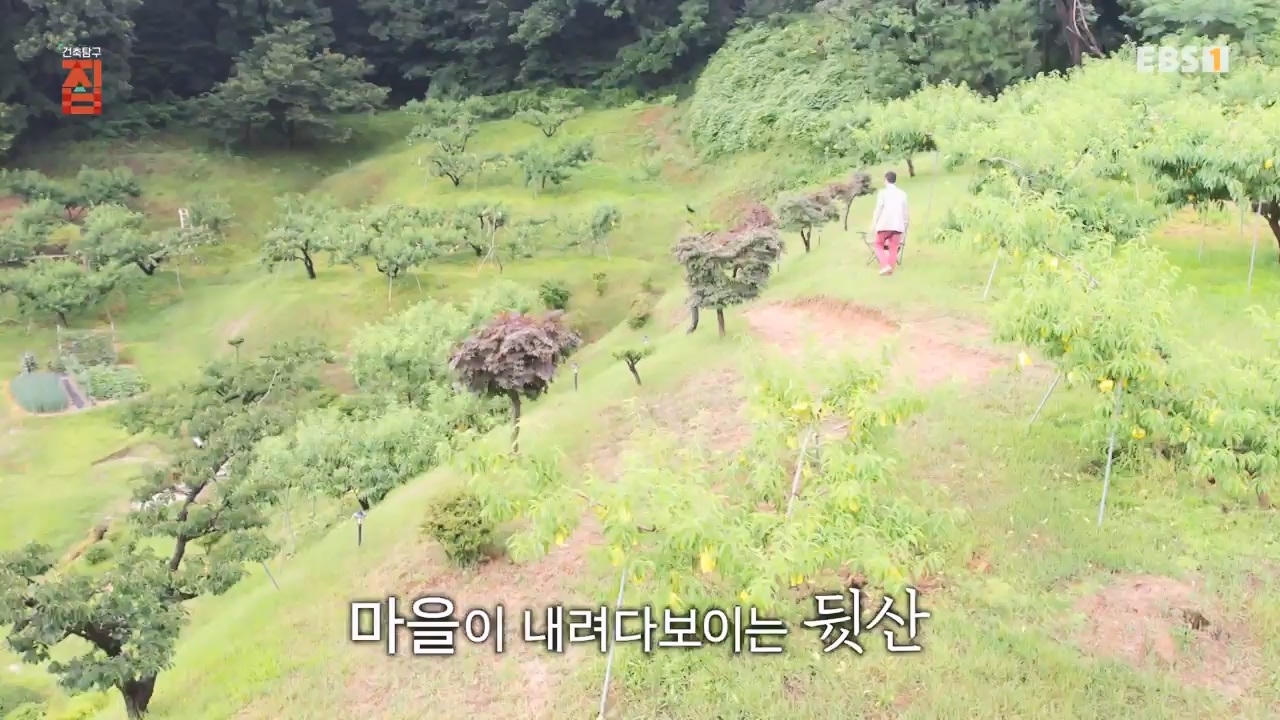 TV - 전 국민의 평생학교 EBS아파봐야 지을 수 있는 집.mp4_20230816_212616.664.jpg