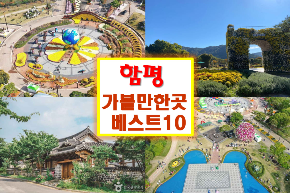 함평 가볼만한곳 베스트10