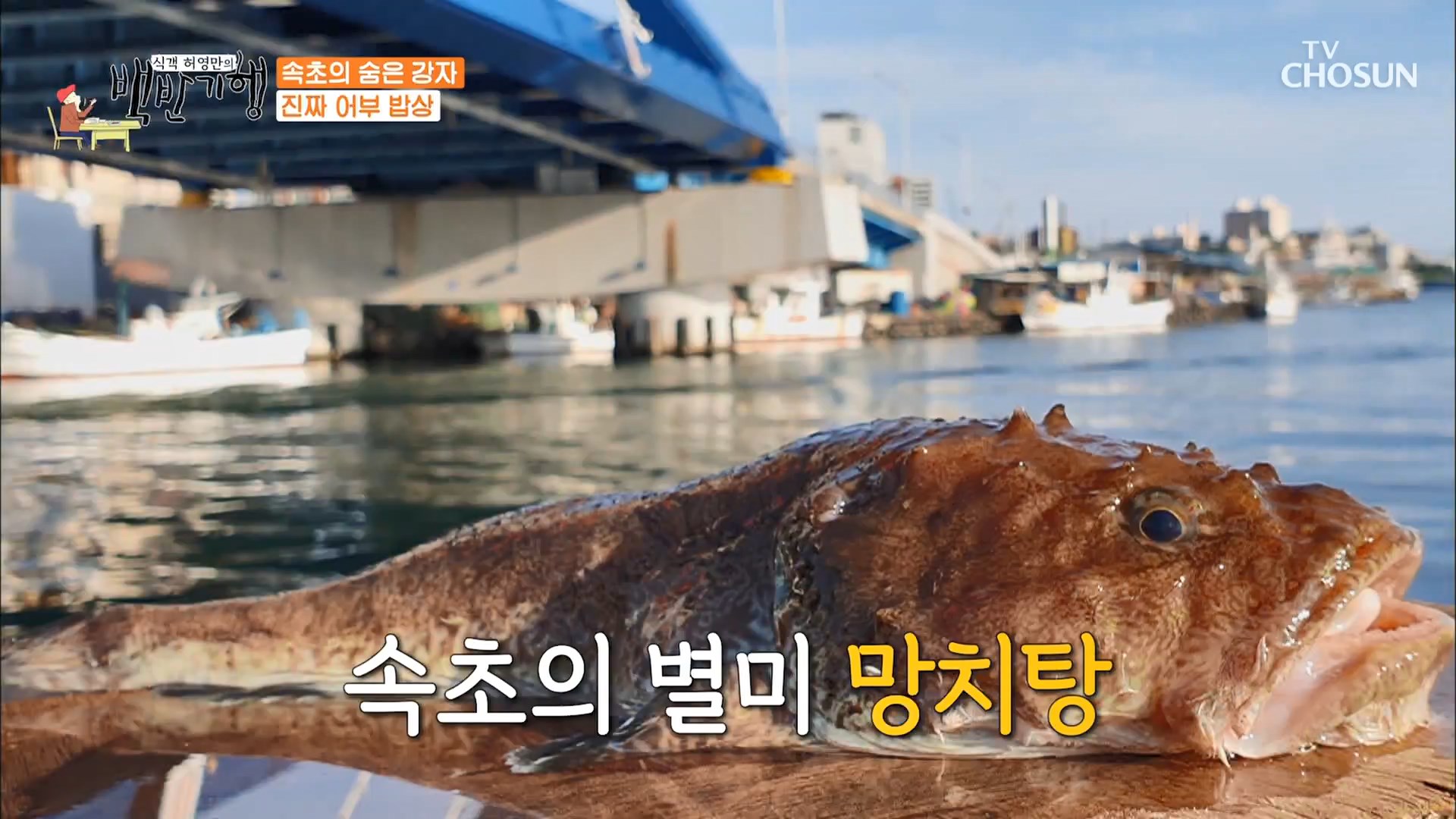  백반기행 속초 먹자골목 생물망치탕 명태코다리탕 회무침 오징어 내장볶음 생선구이 맛집 허영만 고두심