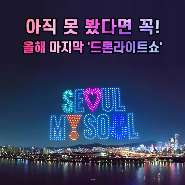 2024 한강 불빛 공연