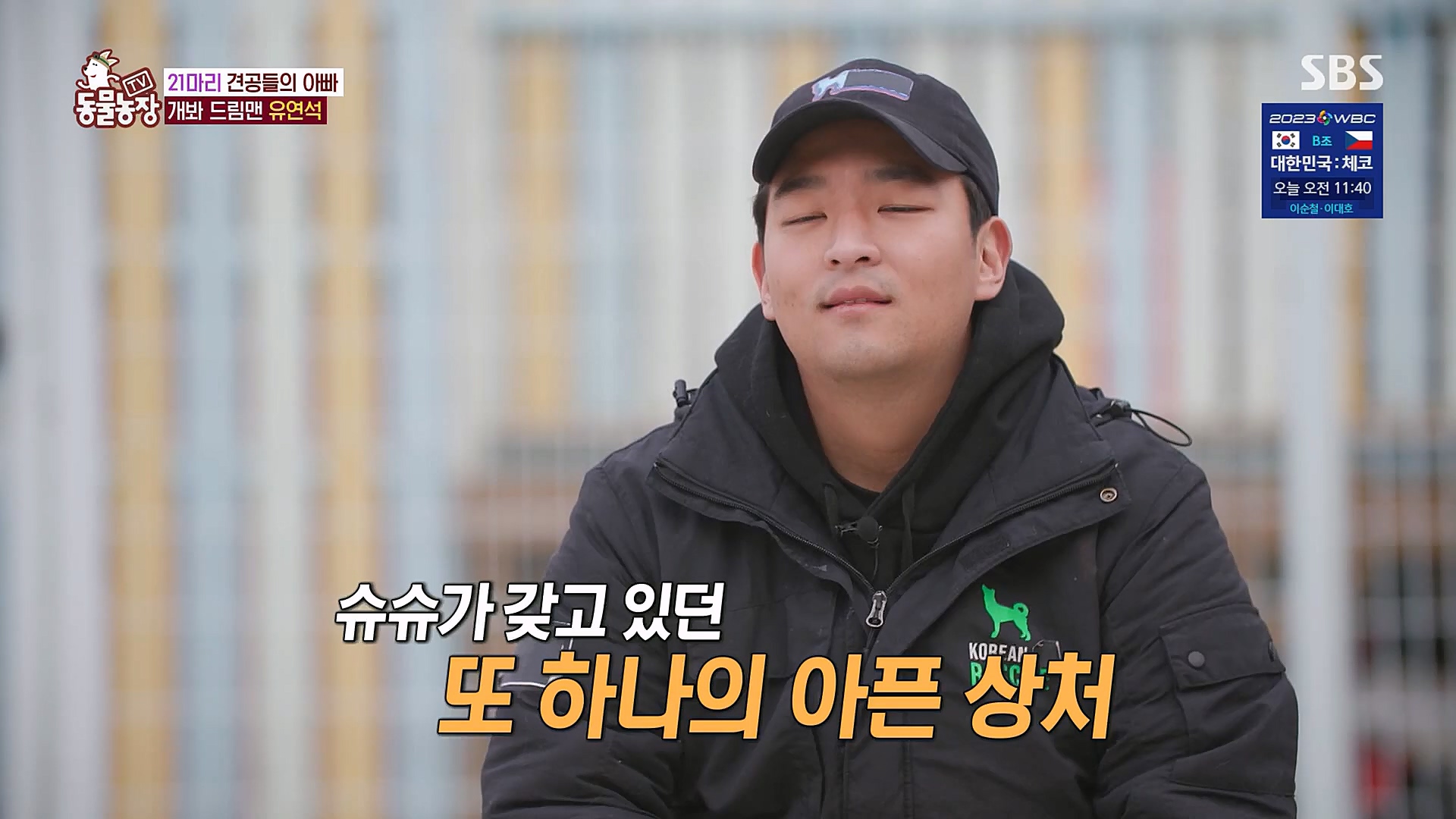 TV 동물농장.E1111.230312p.H264-F1RST.mp4_20230312_175957.054.jpg