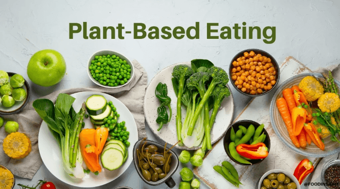 식물 기반 다이어트 Plant-Based Diet