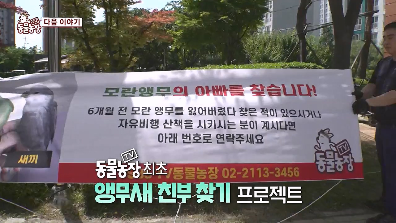 TV 동물농장.E1179.240708p-NEXT.mp4_20240707_160437.640.jpg