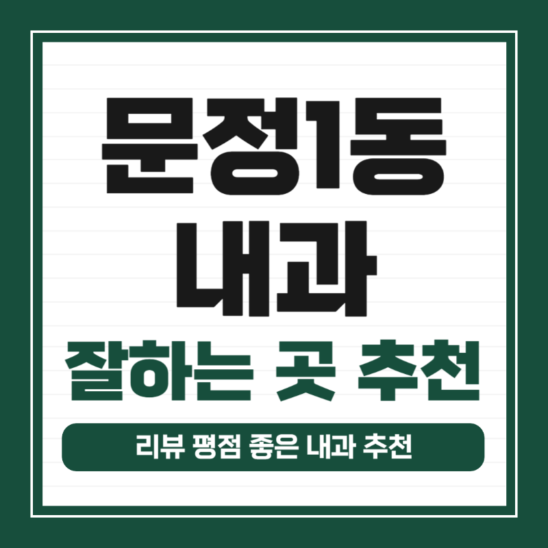 송파구 문정1동 내과 병원 감기 독감 진료 유명한 곳 잘하는 곳 추천