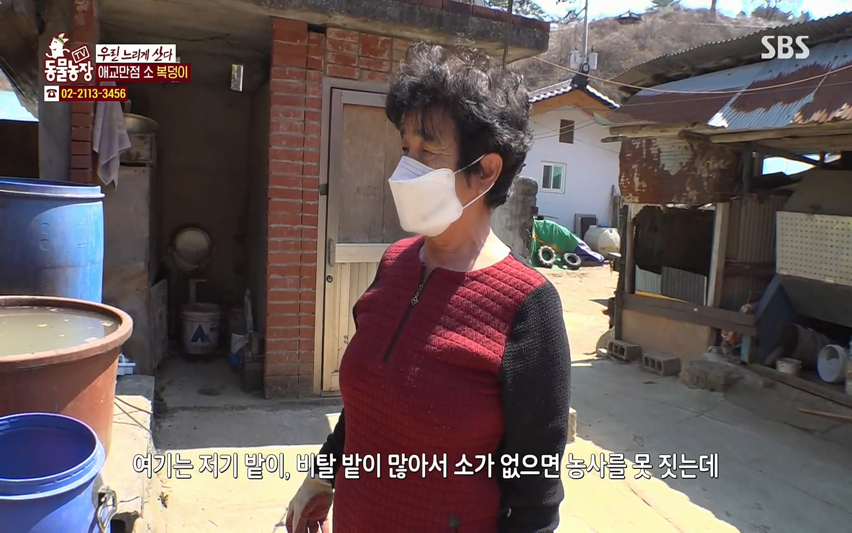 TV 동물농장.E1067.220501p.H264-F1RST.mp4_20220501_183528.742.jpg