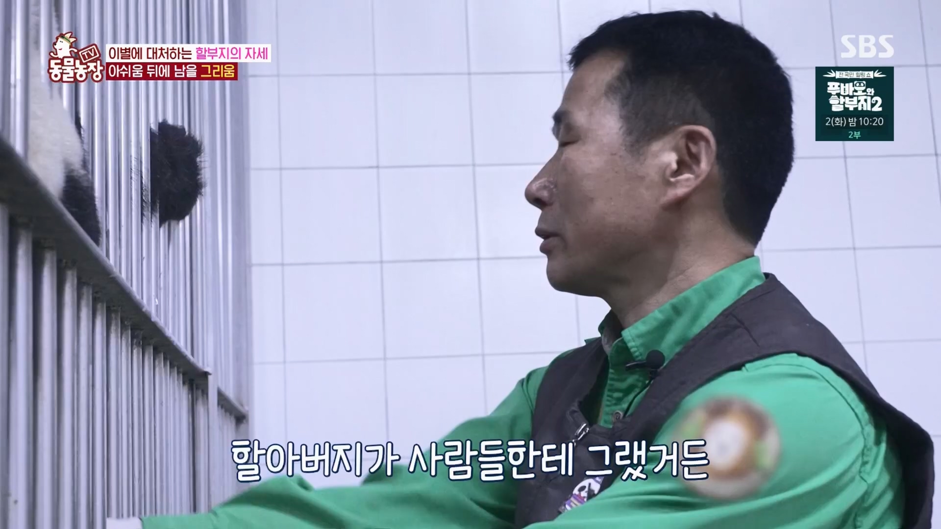 TV 동물농장.E1165.240331p.H264-F1RST.mp4_20240331_144358.628.jpg