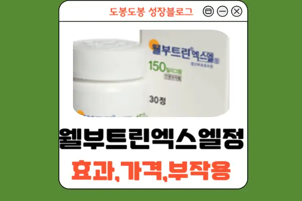 웰부트린엑스엘정 안내 이미지