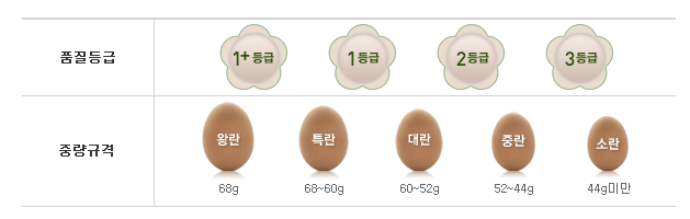  계란의 무게에 따른 구분법