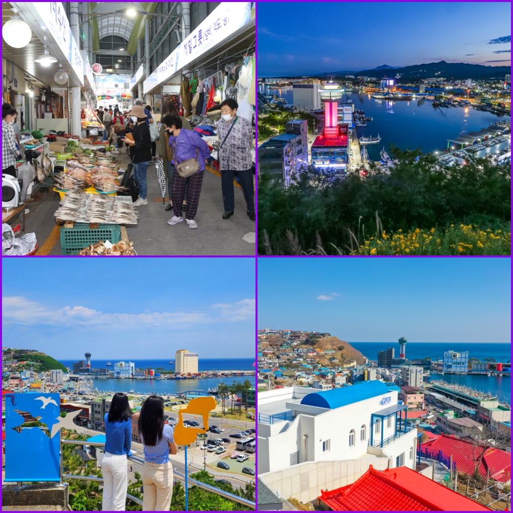 동해시티투어버스