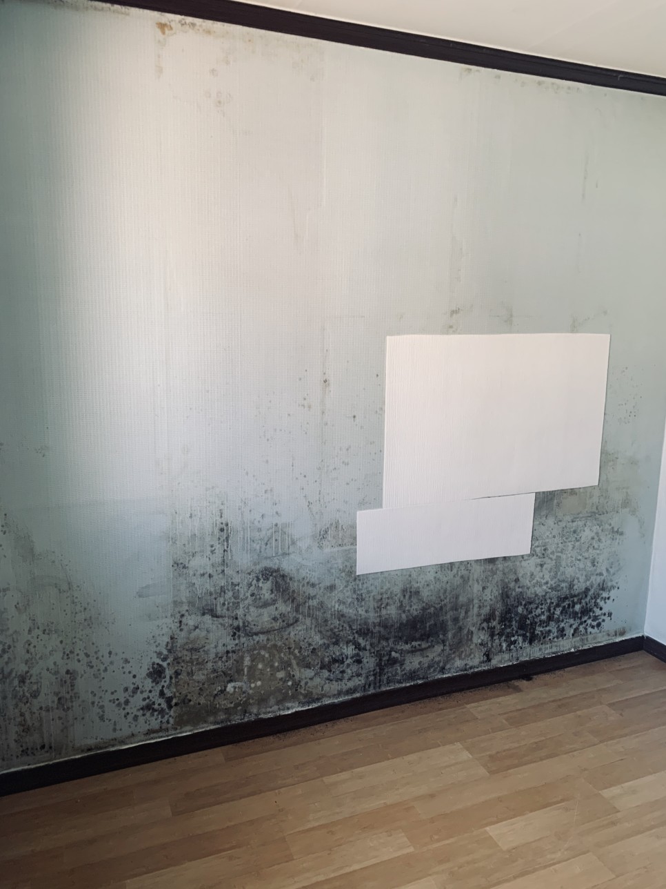 벽지곰팡이 제거 7