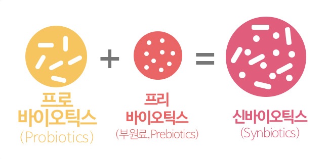 프로바이오틱스-플러스-프리바이오틱스-이꼬르-신바이오틱스-일러스트-기호