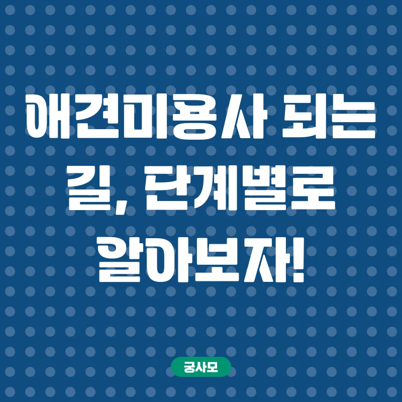 애견미용사 취업_2