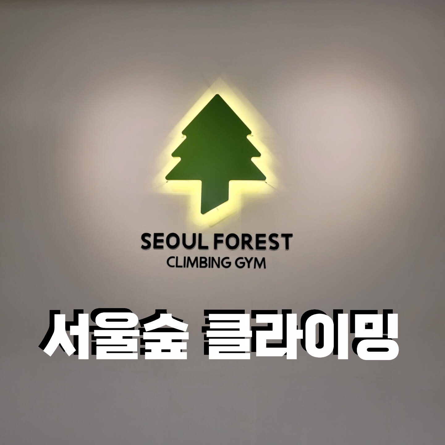  서울숲클라이밍 가격, 주차, 이용 시간, 샤워실 정보까지