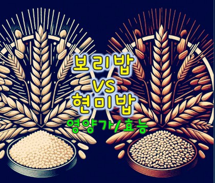 보리밥-현미밥-비교