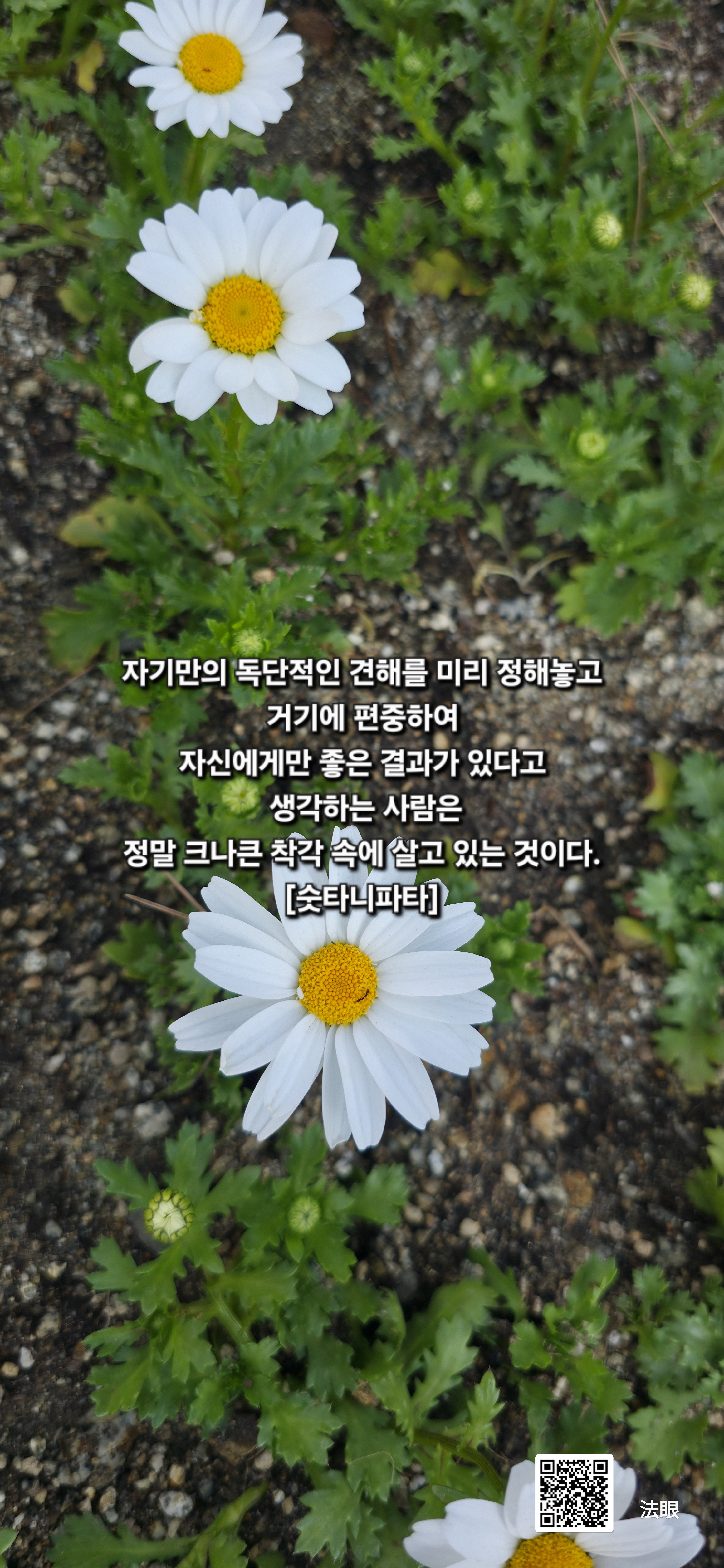 만남 이미지