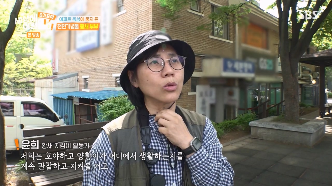 순간포착 세상에 이런일이.E1276.240505p-NEXT.mp4_20240505_151156.695.jpg