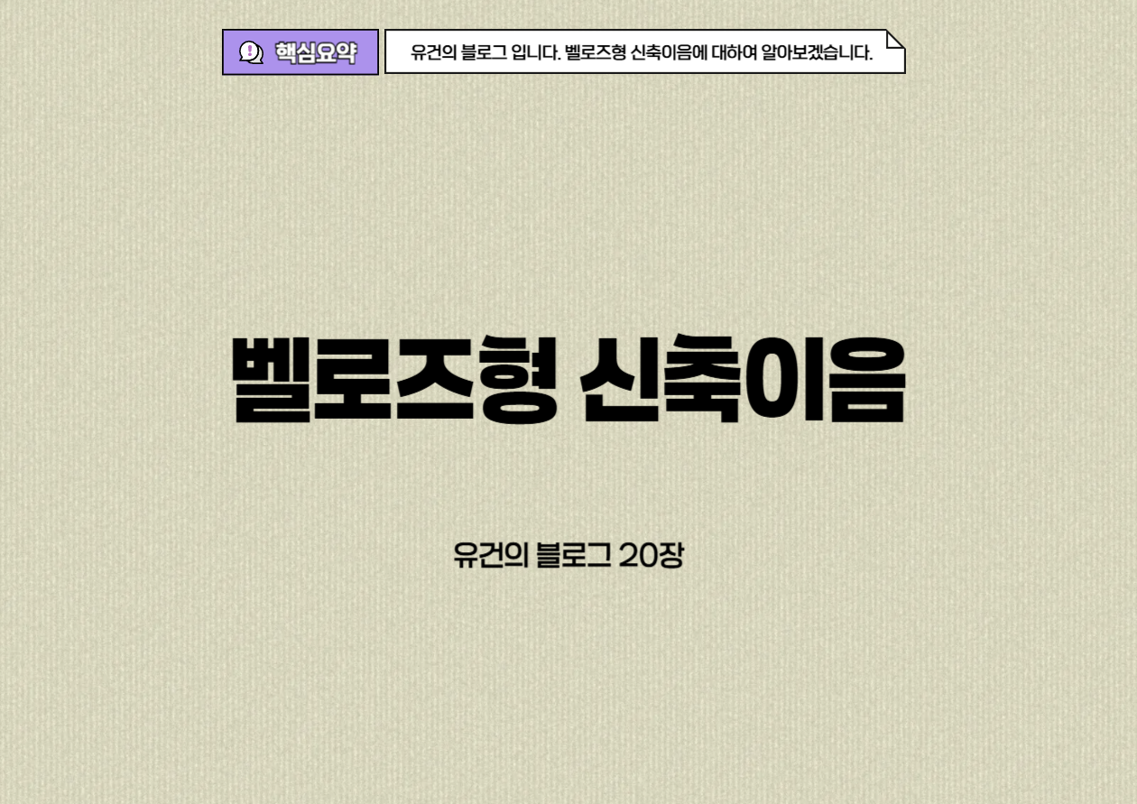 벨로즈형 신축이음