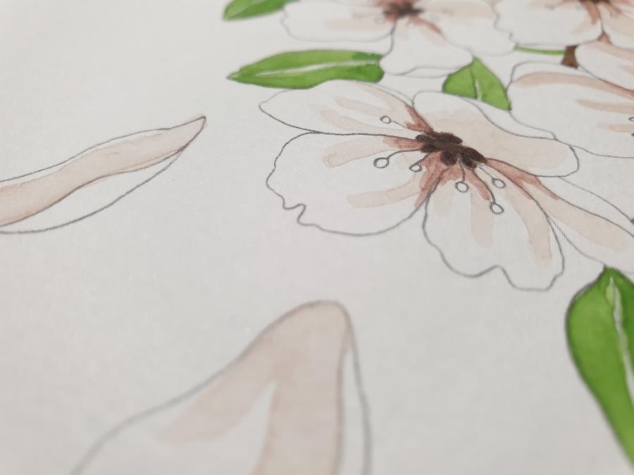 수채화 벚꽃