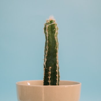 차별화된 웹디자인 솔루션으로 성공하는 비즈니스