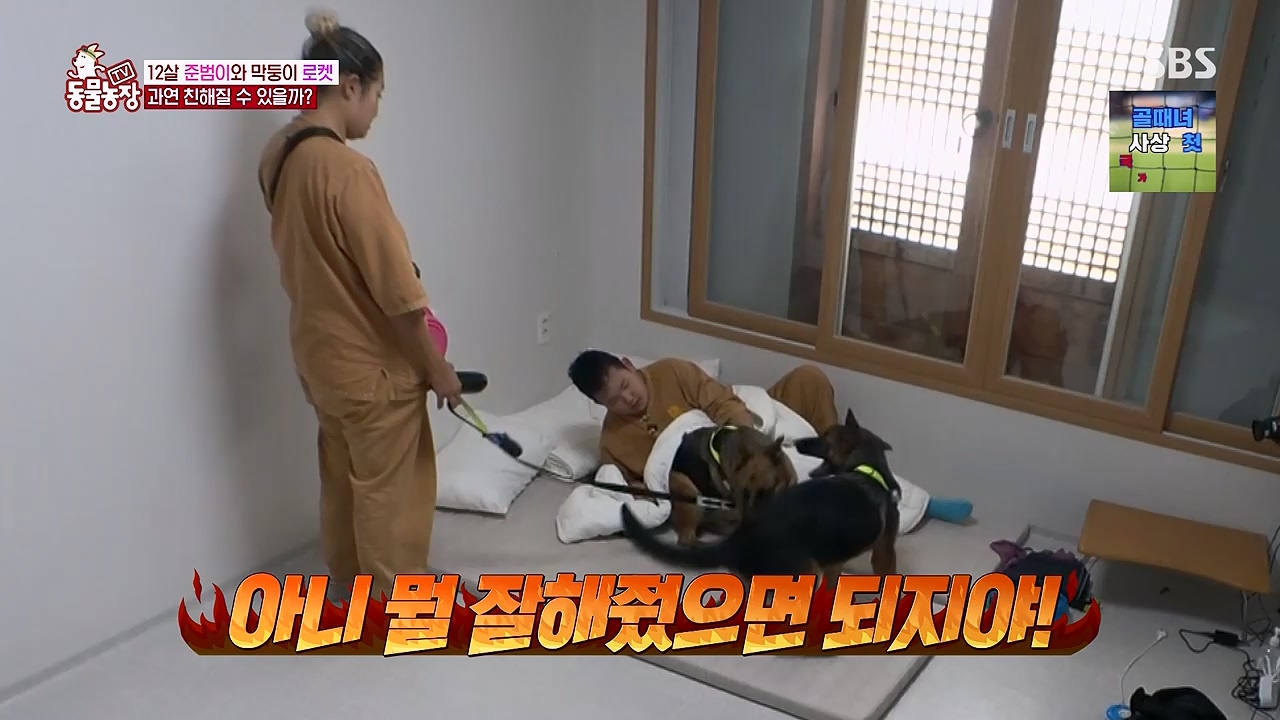 TV 동물농장 1189화 다시보기.ts_20240922_161954.918.jpg