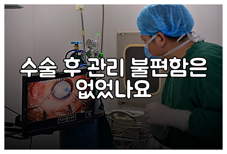 수술 후 관리 불편함은 없었나요