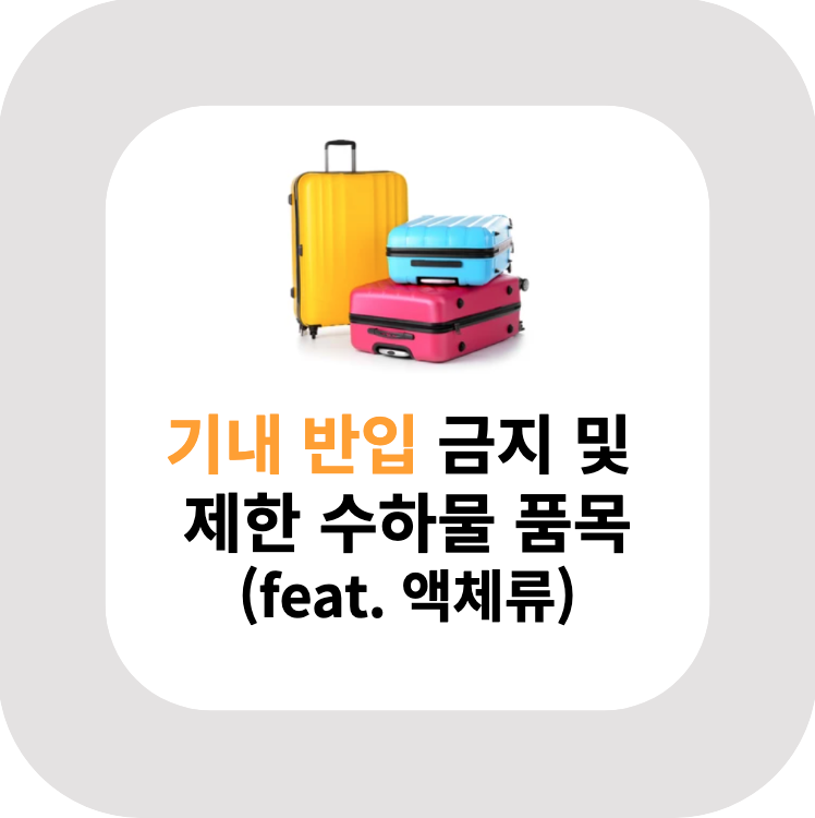  기내 반입 금지 및 제한 수하물 품목(feat. 액체류)