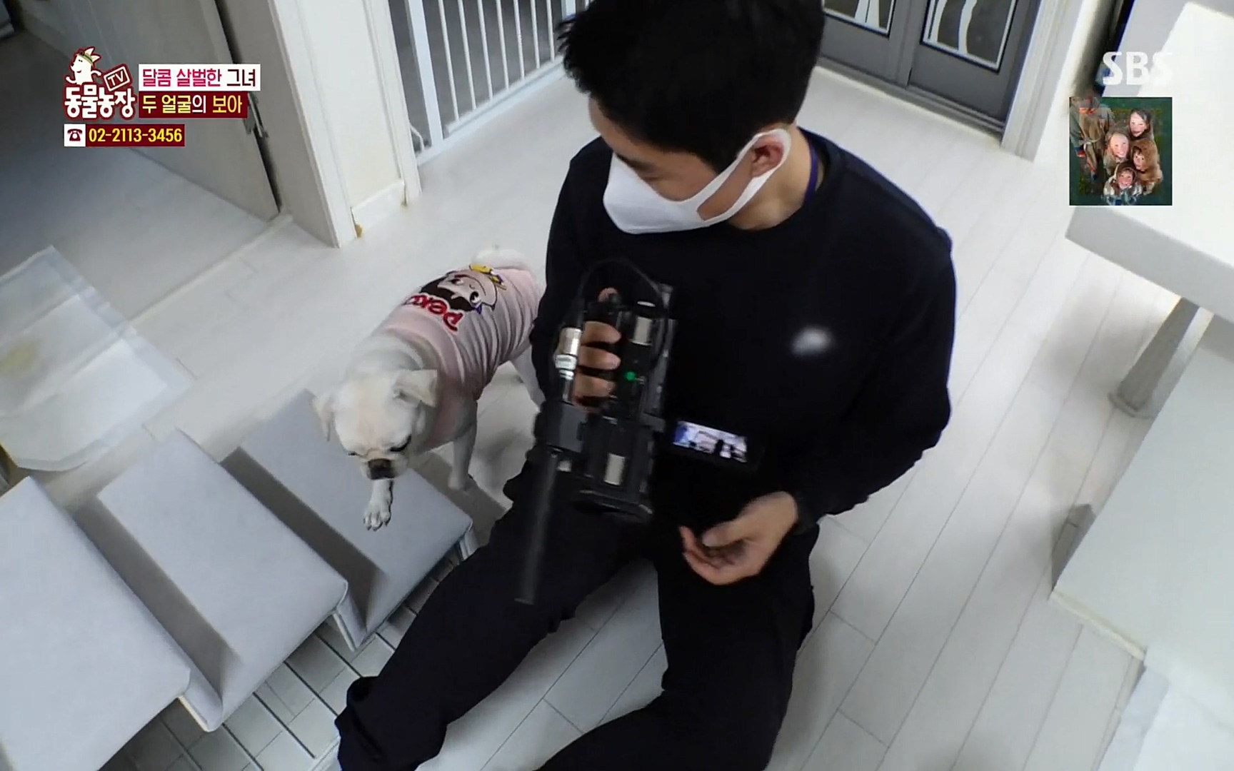 TV 동물농장.E1061.220320p.H264-F1RST.mp4_20220320_183549.118.jpg