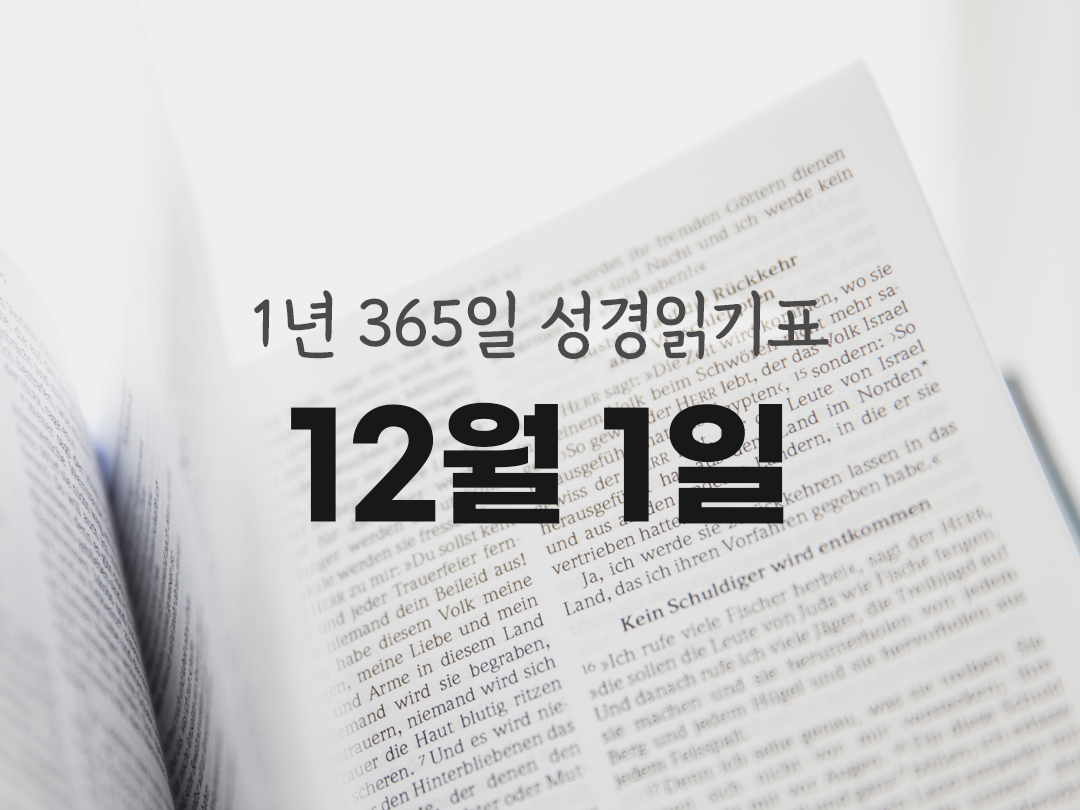 1년 365일 성경읽기표 12월 1일 코린토1서 성경읽기 진도표 다운로드