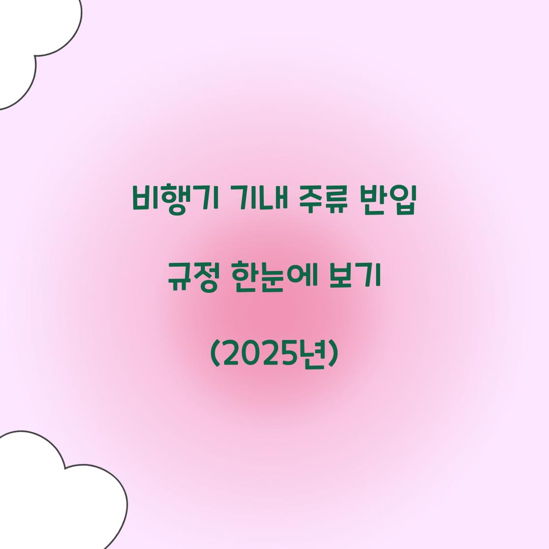 비행기 기내 주류 반입