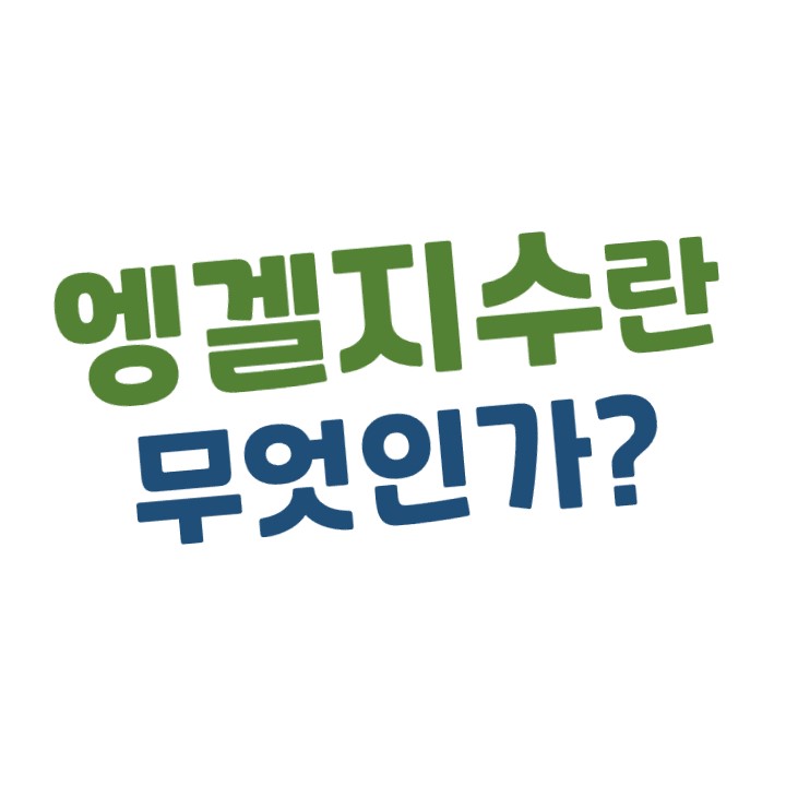  [경제상식] 엥겔지수란 무엇인가?