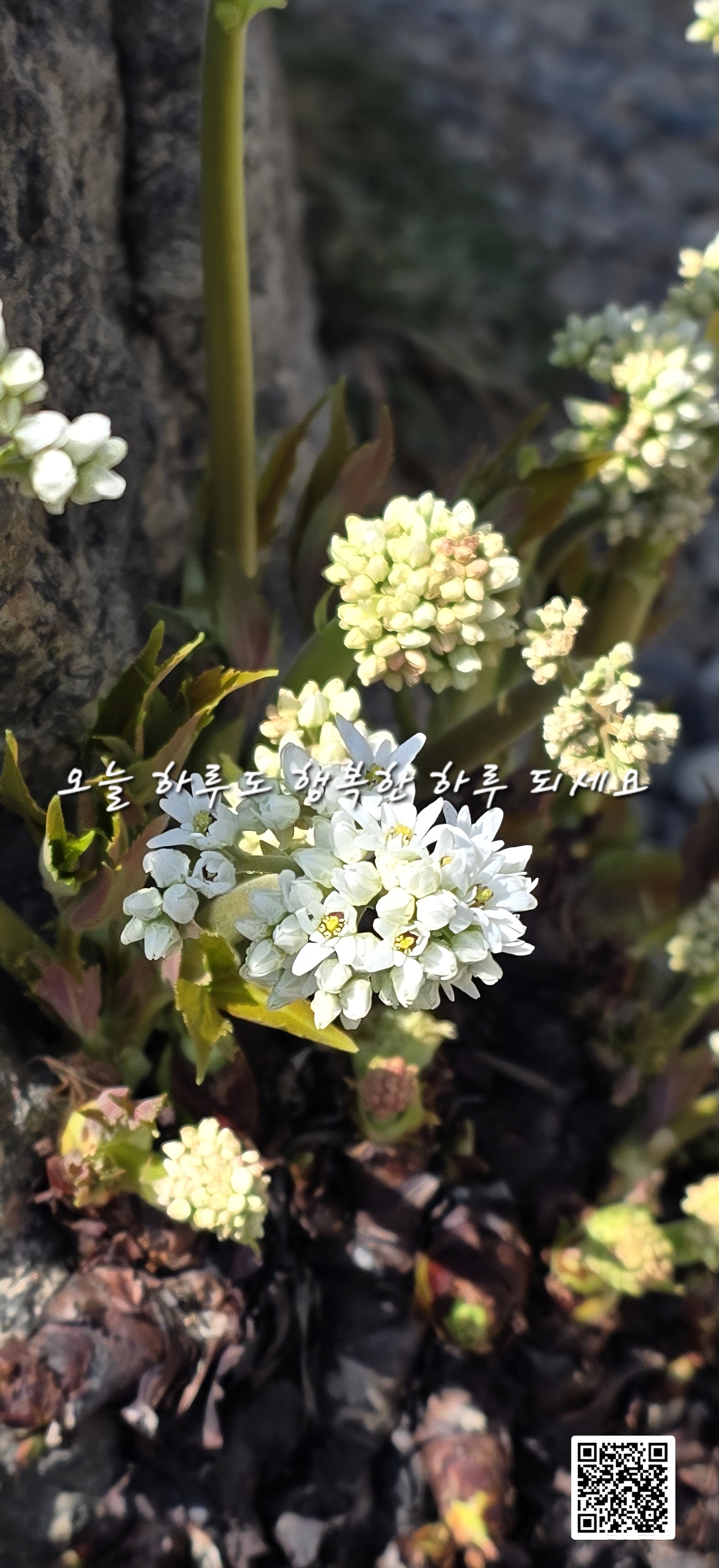 만남 이미지