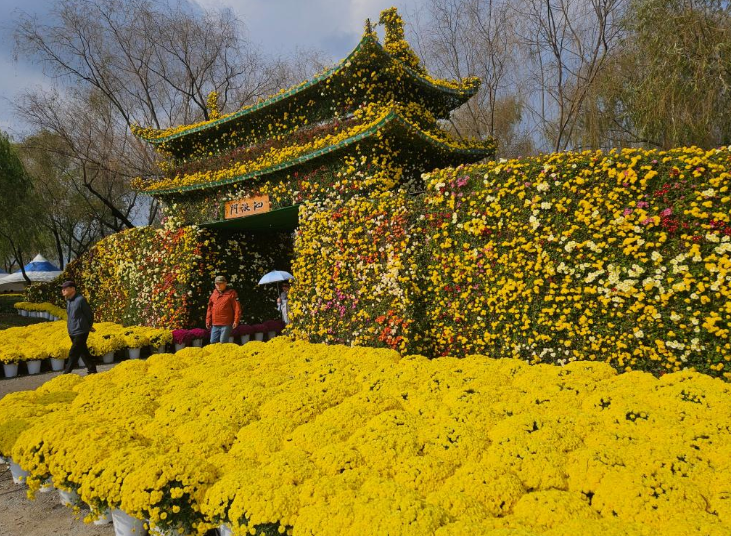 2024 백제고도부여국화축제 일정과 장소 - 궁남지에서 만나는 가을 국화 향연