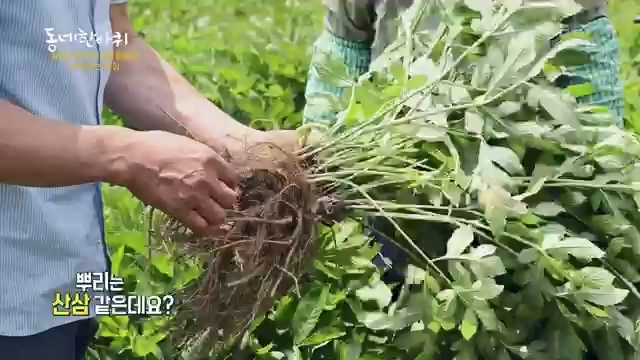 [227회] 동네 한 바퀴 - KBS.ts_20230802_212335.670.jpg