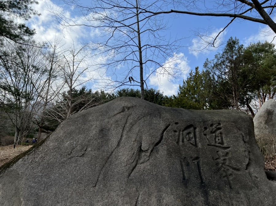혼자가기좋은 20