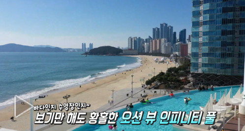 생방송투데이 정보