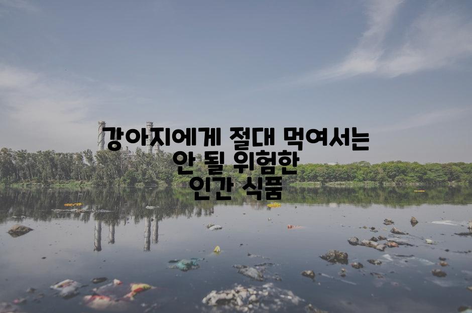 강아지에게 절대 먹여서는 안 될 위험한 인간 식품