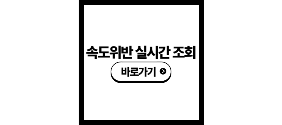 속도위반 실시간 조회