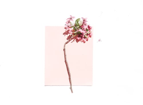 인생샷없음 이미지