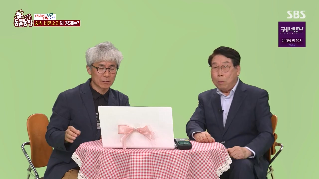 TV 동물농장.E1172.240520p-NEXT.mp4_20240519_165225.898.jpg