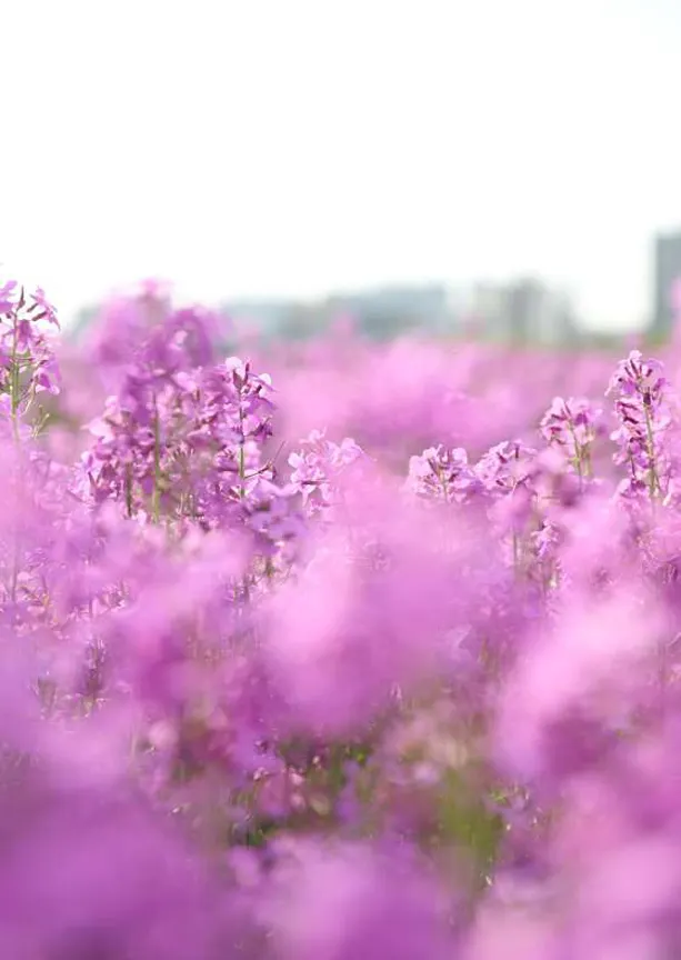 영천생태지구공원