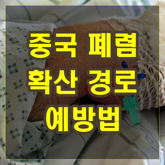 중국 폐렴 확산 경로 예방법