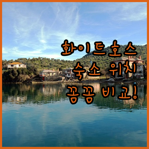 화이트호스 숙소 데이즈 인 vs 퀄리