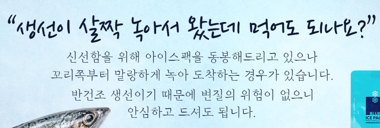 생선굽는고양이 사진 4