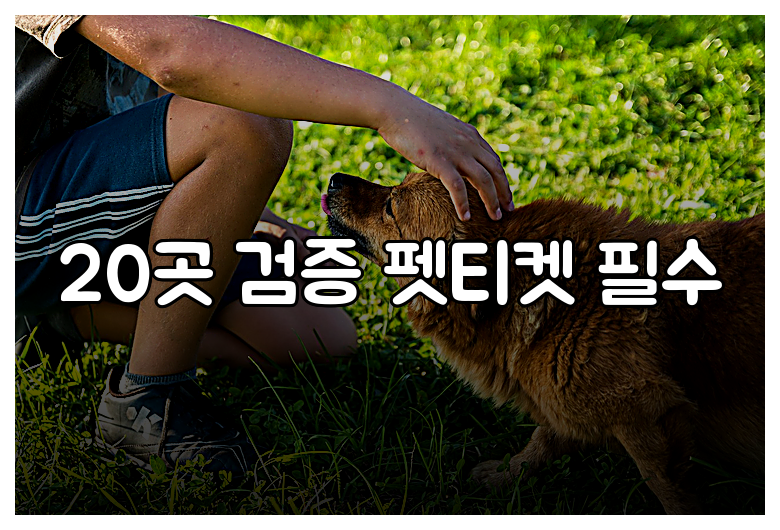 20곳 검증 펫티켓 필수