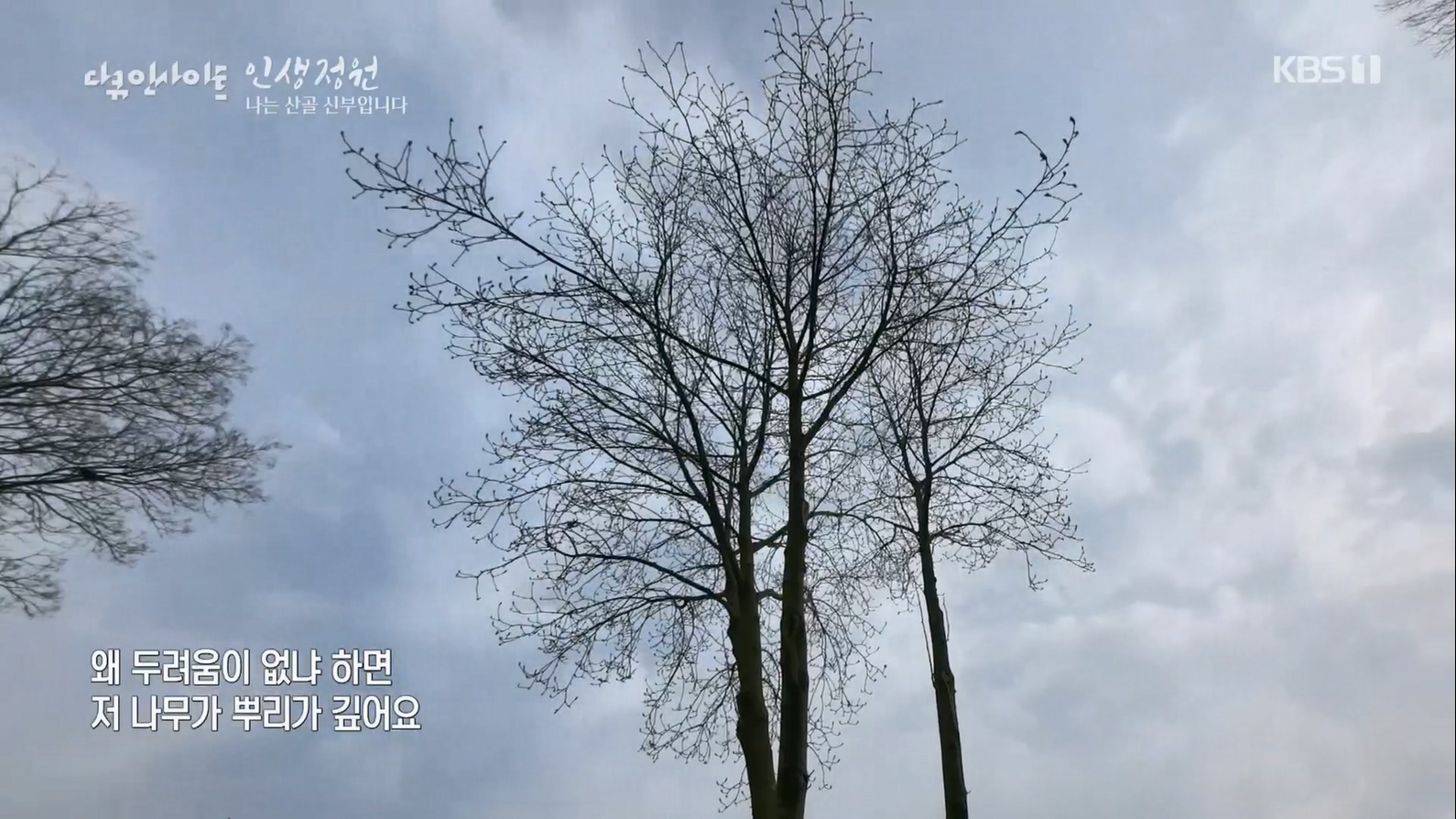 다큐 인사이트.E153.230608p.H264-F1RST.mp4_20230612_203946.904.jpg