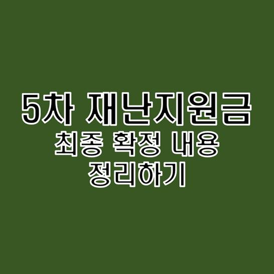  2차 추경안 최종 확정 내용 중 5차 재난지원금 대상 및 지급 금액과 시기