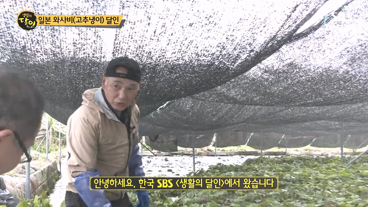 생활의 달인.E908.231017p-NEXT.mp4_20231017_202211.815.jpg