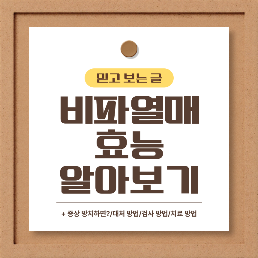  비파열매 효능 알아보기